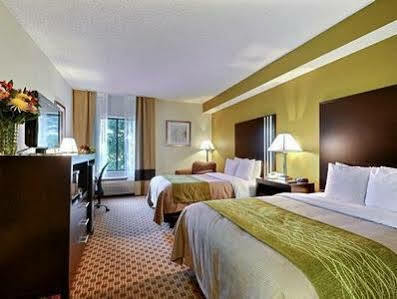 Inn Comfort East 2*